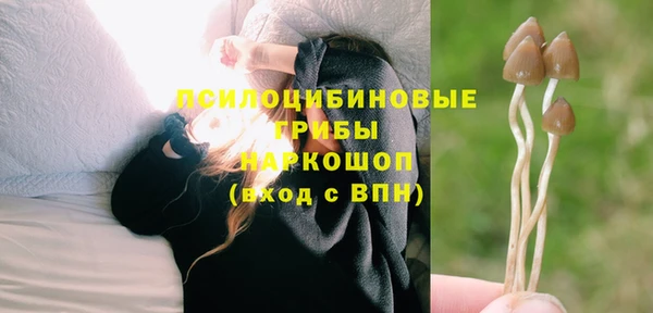 альфа пвп Няндома