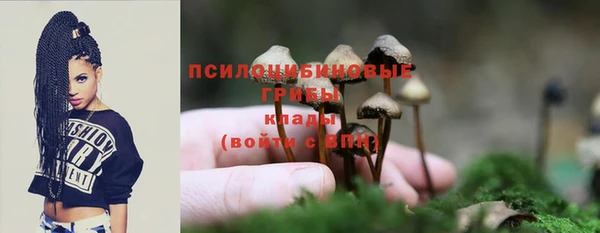 скорость Бронницы