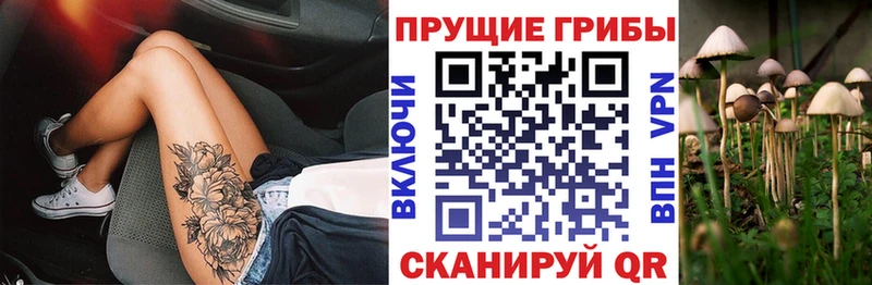 Псилоцибиновые грибы мицелий  даркнет сайт  гидра рабочий сайт  Кадников 